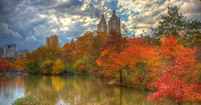The Best Places to Spot Fall Foliage in NYC
